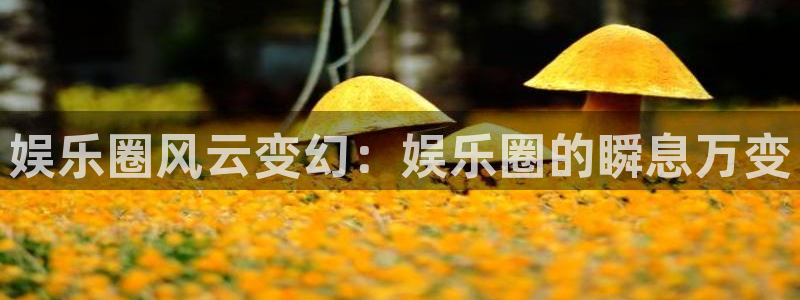 众腾娱乐：娱乐圈风云变幻：娱乐圈的瞬息万变