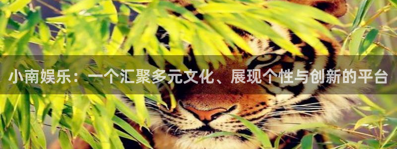 众腾娱乐：小南娱乐：一个汇聚多元文化、展现个性与创新的平台