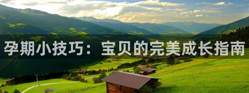 众腾娱乐：孕期小技巧：宝贝的完美成长指南