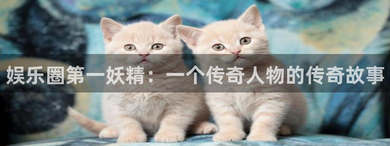 众腾娱乐：娱乐圈第一妖精：一个传奇人物的传奇故事